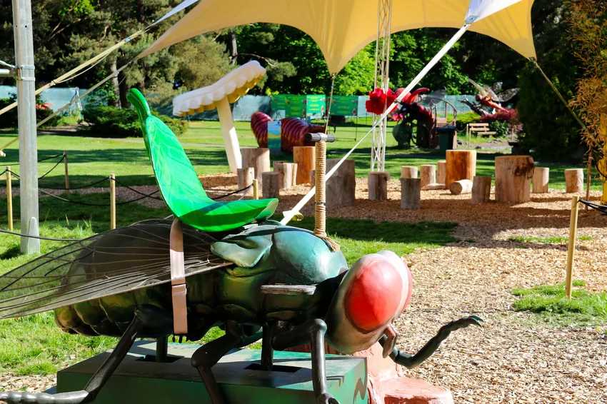 A dos de mouche géante