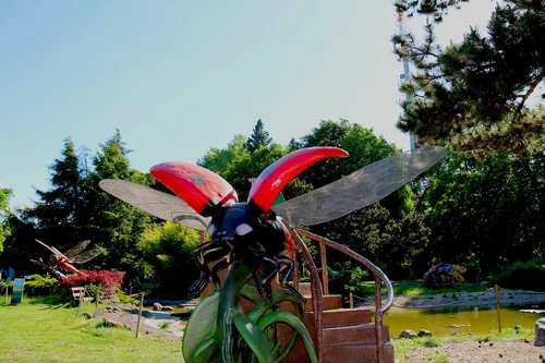 Chevaucher une coccinelle