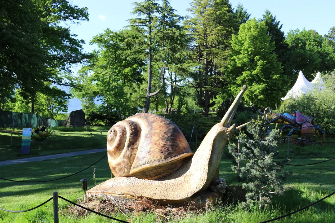 Organisez votre visite